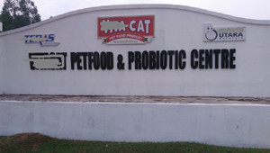 cat food factory