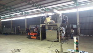install cat food production line