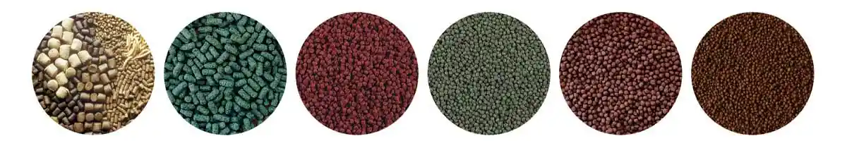 Fish Feed Products