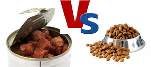 dry dog food vs moist dog food
