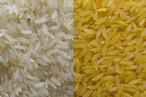 artificial rice business value
