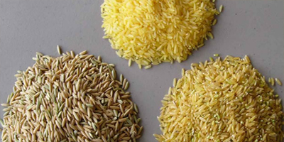 Business value of artificial rice | Sunpring