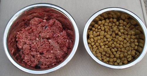 dry-dog-food-raw-meat-diet