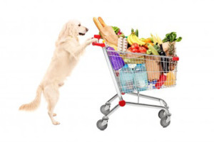 Feeding-Your-Dog-Human-Food-Whats-Safe