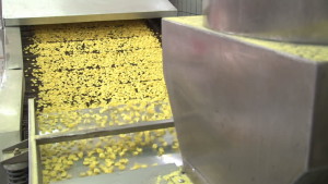 corn flakes factory