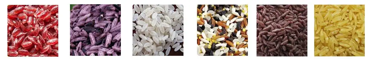 Artificial Rice