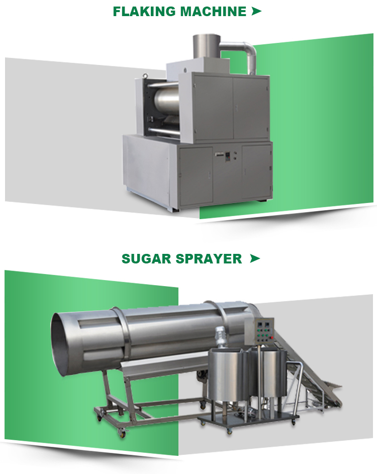 Corn Flakes Production Line | Sunpring