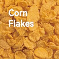 Sunpring Corn flakes extruder