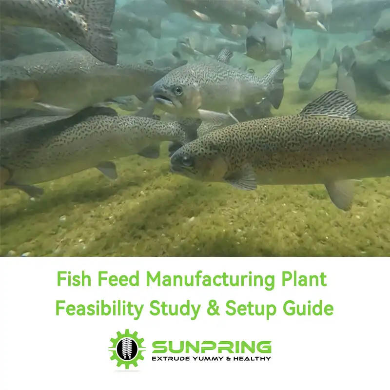 SunPring Fish Feed Manufacturing Plant Feasibility Study & Setup Guide SunPring Fish Feed Manufacturing Plant Feasibility Study & Setup Guide